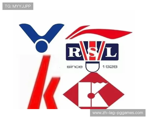 羽毛球胜利8号球